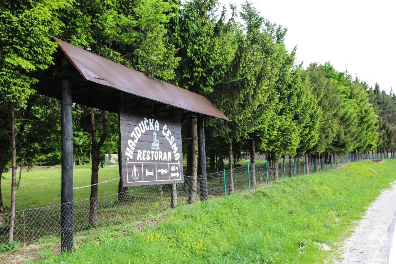 Holiday Park Hajducka Cesma Dubovsko Екстериор снимка